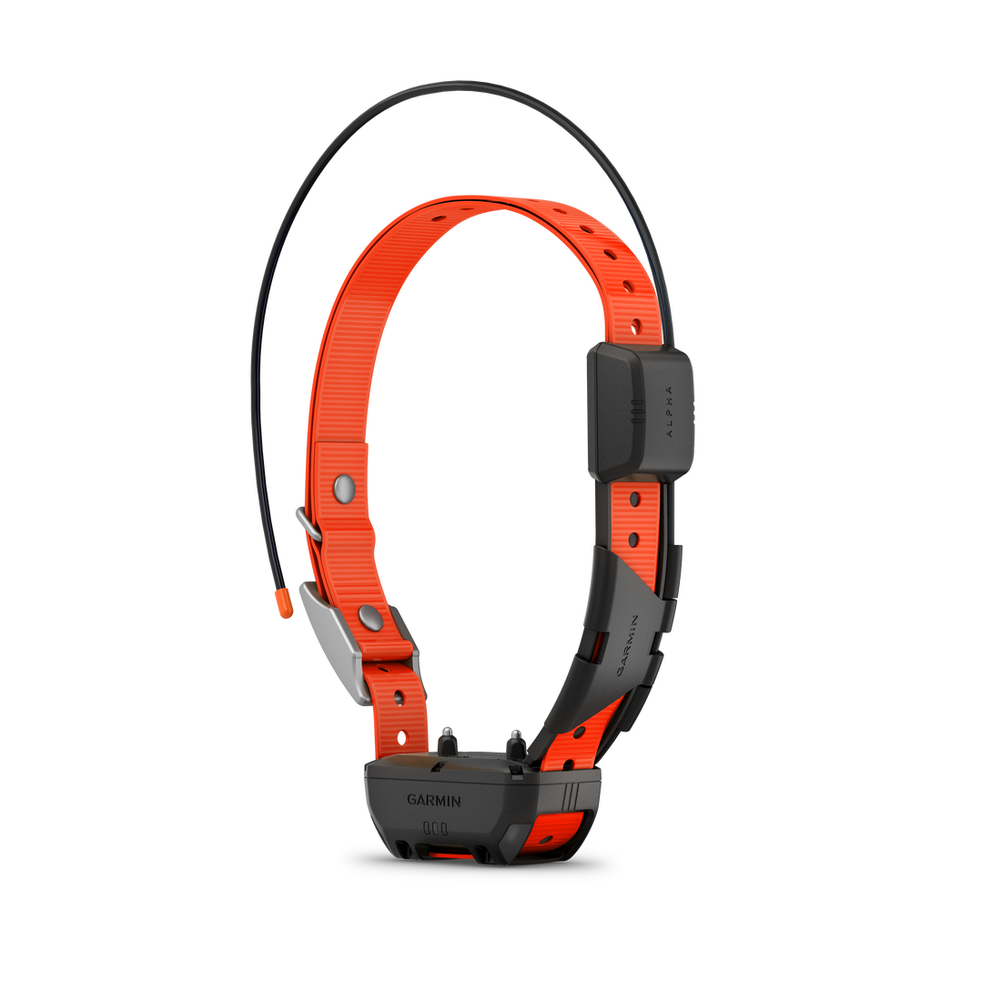 Garmin TT25 dog collar