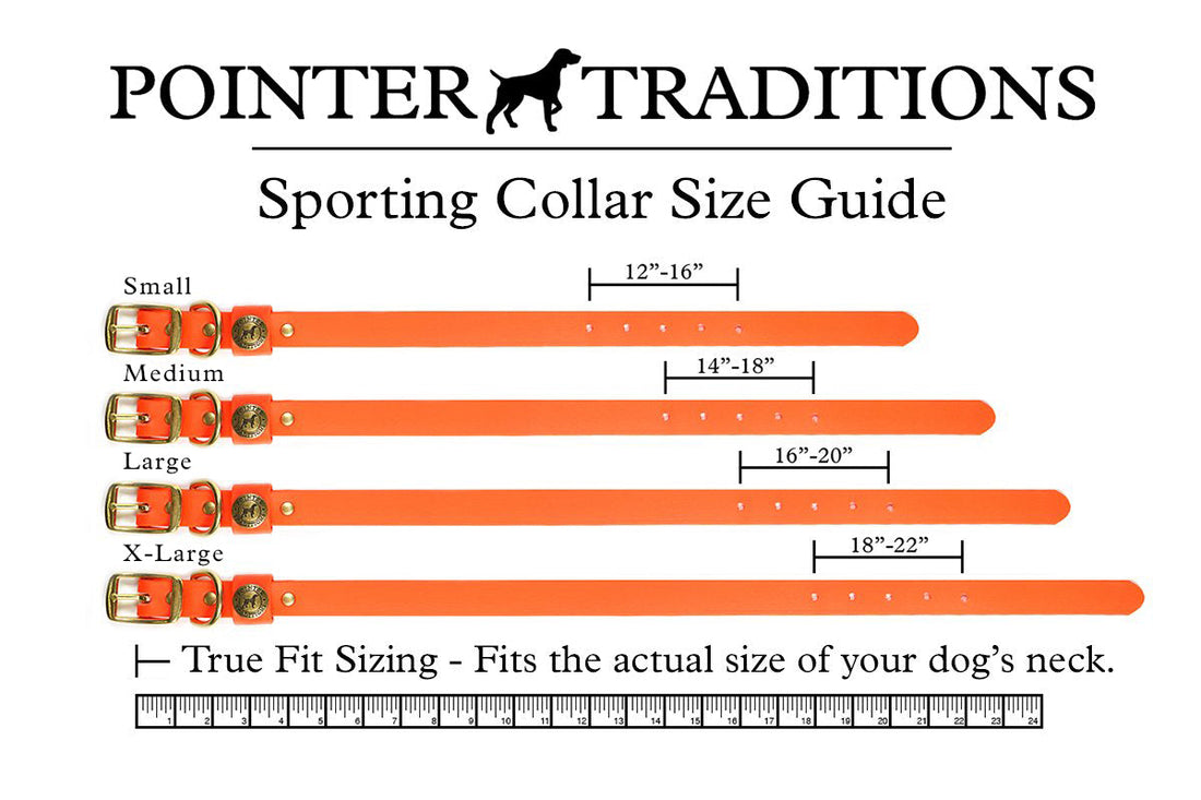 Sporting Dog Collar - Woodland Green